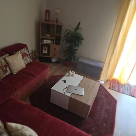 Accommodatie bij particulieren Cosy - Parking - Terrasse Saint-Alban (Haute-Garonne)